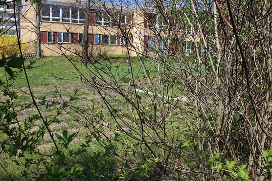 Bereits 10. Baumfest in Sondershausen (Foto: Karl-Heinz Herrmann)