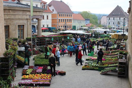Gewimmel auf dem Pflanzenmarkt (Foto: Karl-Heinz Herrmann)