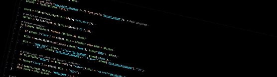 Innenleben der Nordth&uuml;ringer Online-Zeitungen (Foto: nnz)