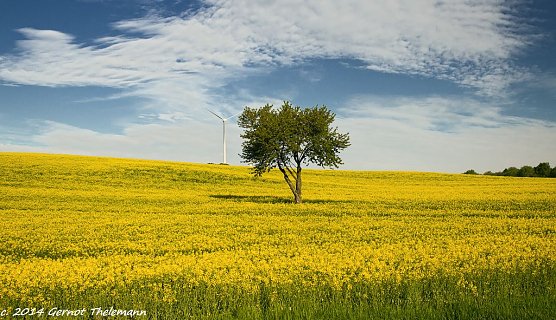 Wetterbild (Foto: Gernot Thelemann) Wetterbild (Foto: Gernot Thelemann)