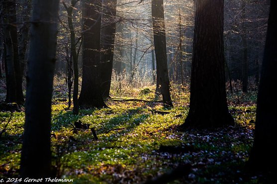 Wetterbild (Foto: Gernot Thelemann) Wetterbild (Foto: Gernot Thelemann)