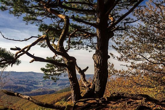 Wetter-Bild (Foto: Gernot Thelemann)