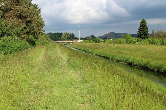 Rund um den Wipperdamm (Foto: Karl-Heinz Herrmann)