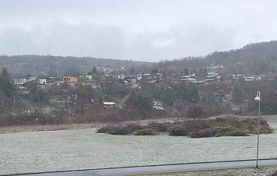 Blumenpflanzung (Foto: Karl-Heinz Herrmann) Blumenpflanzung (Foto: Karl-Heinz Herrmann)