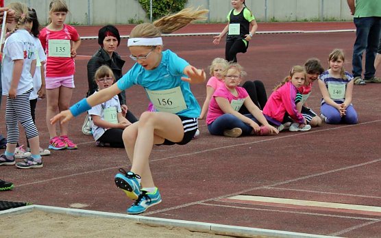 Ergebnisse der 5. Mini-WM (Foto: Karl-Heinz Herrmann)