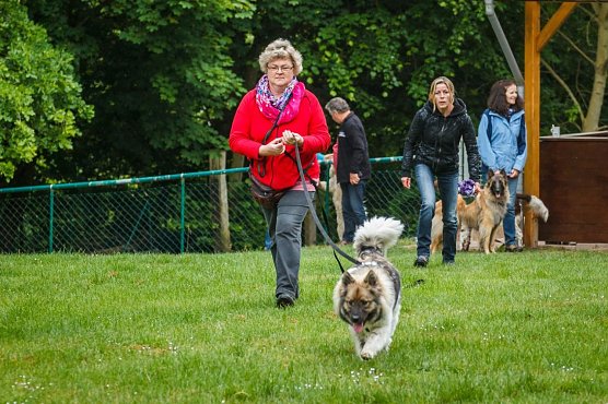 Mantrailing-Seminar auf dem Sondersh&auml;user Hundeplatz (Foto: Privat)