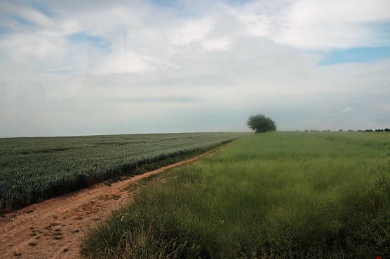 Kritik an geplanten Windr&auml;dern (Foto: Karl-Heinz Herrmann)