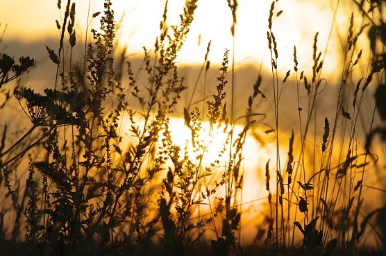 Wetterbild (Foto: Gernot Thelemann) Wetterbild (Foto: Gernot Thelemann)
