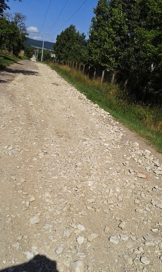 Rund um Sondershausen meiden (Foto: Privat) Rund um Sondershausen meiden (Foto: Privat)