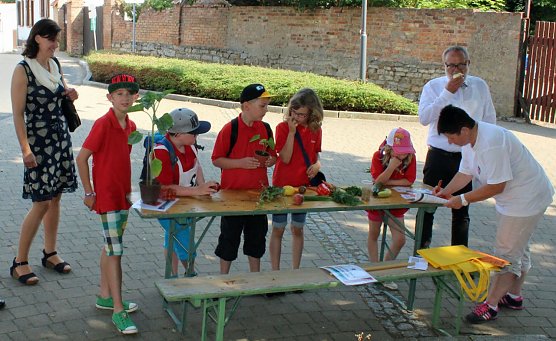 DRK-Jugend im Wettstreit (Foto: Karl-Heinz Herrmann)
