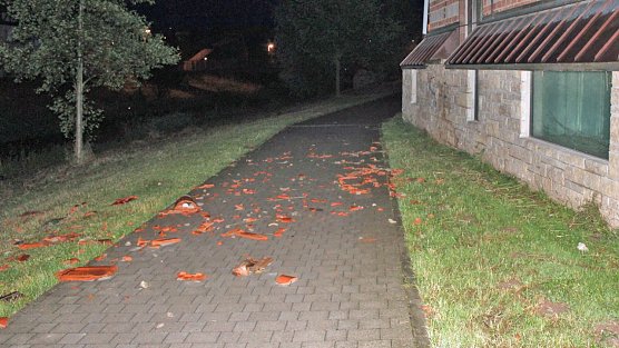 Vorsicht bei Waldspaziergängen (Foto: Karl-Heinz Herrmann) Vorsicht bei Waldspaziergängen (Foto: Karl-Heinz Herrmann)