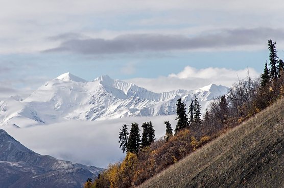 Alaska im Landratsamt (Foto: Rainer Severin)