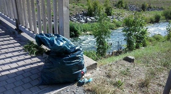 M&uuml;llbeh&auml;lter im Schlosspark (Foto: Karl-Heinz Herrmann)