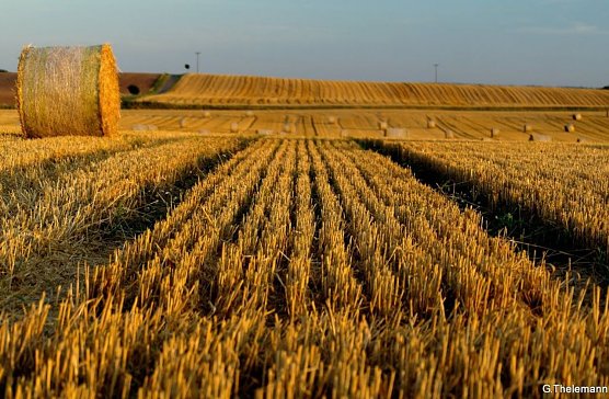 Wetter-Bild (Foto: Gernot Thelemann)