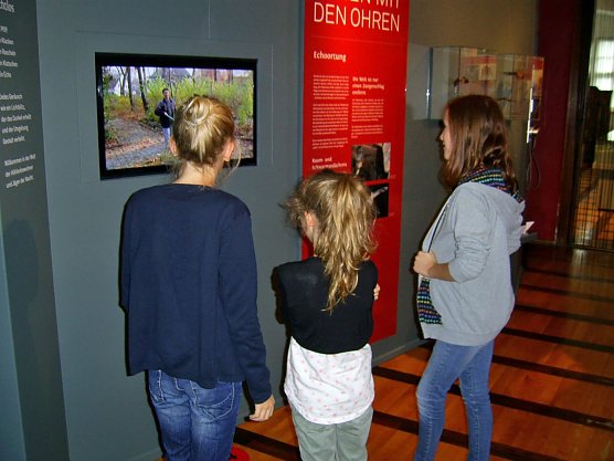 Fledermausabend im Regionalmuseum (Foto: Regionalmusem Bad Frankenhausen)