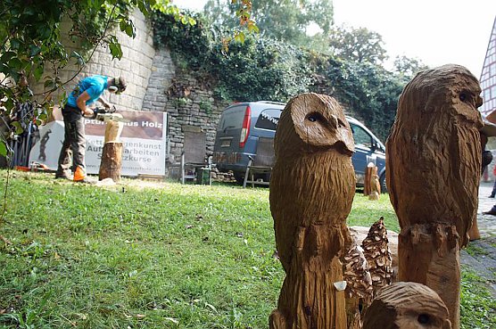 Holzmarkt Hohe Schrecke (Foto: Hohe Schrecke) Holzmarkt Hohe Schrecke (Foto: Hohe Schrecke)