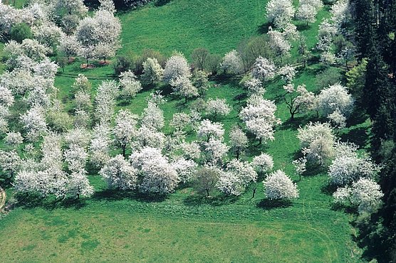 Neue Kelterei in Donndorf (Foto: Thomas Stephan) Neue Kelterei in Donndorf (Foto: Thomas Stephan)
