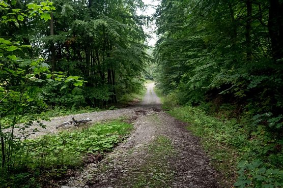 Wetter-Bild (Foto: Gernot Thelemann)