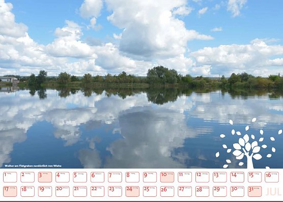 kn in K&uuml;rze (Foto: Thomas Stephan)