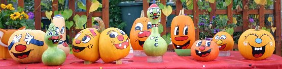 Lustige K&uuml;rbisbilder (Foto: J&uuml;rgen M&uuml;ller)