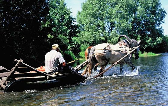 Blockflöte und Rußland-Bilder (Foto: Mücke) Blockflöte und Rußland-Bilder (Foto: Mücke)