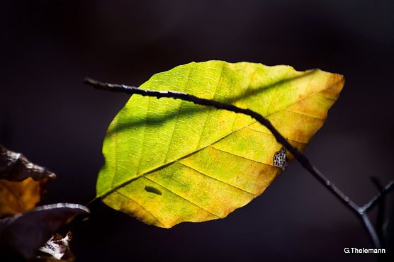 Wetter-Bild (Foto: Gernot Thelemann)