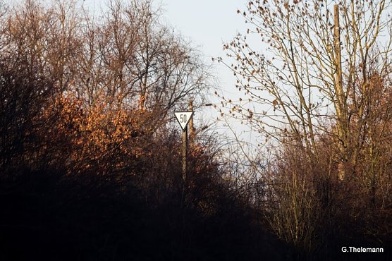 Wetterbild (Foto: Gernot Thelemann)