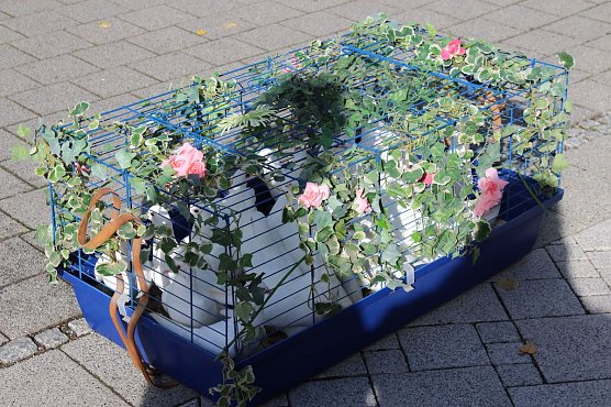 Abschluss mit ökumenischem Gottesdienst (Foto: Karl-Heinz Herrmann) Abschluss mit ökumenischem Gottesdienst (Foto: Karl-Heinz Herrmann)
