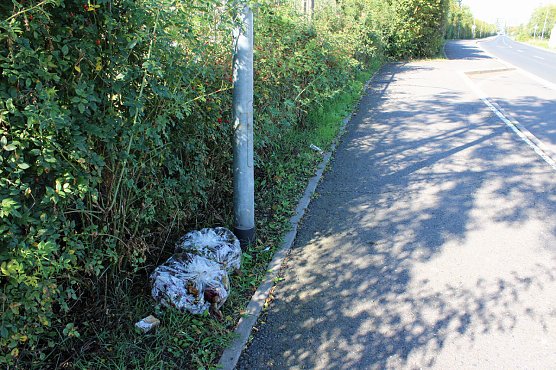 Erspart die Biotonne (Foto: Privat)