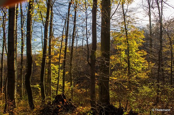 Wetter-Bild (Foto: Gernot Thelemann)