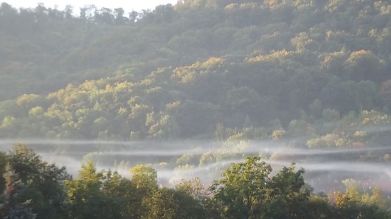 Herbst in Sondershausen (Foto: Thomas Leipold)