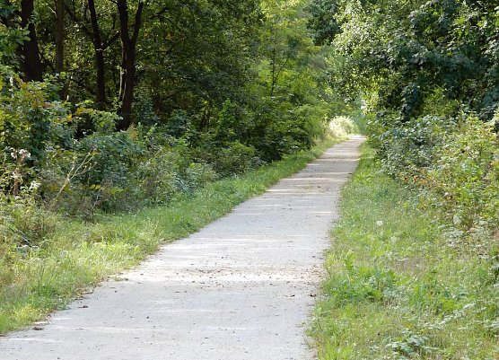 Ein Bahndammvergleich (Foto: Andreas Zeidler) Ein Bahndammvergleich (Foto: Andreas Zeidler)