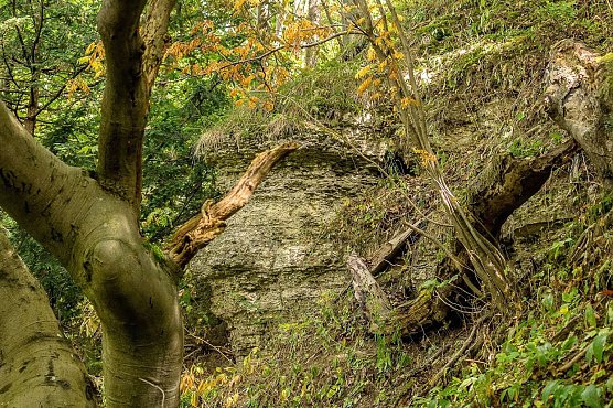 Wetter-Bild (Foto: Gernot Thelemann)