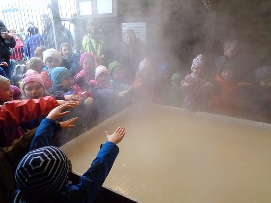 Auch bei Nebel kann man wandern (Foto: Kindervilla Bad Frankenhausen)