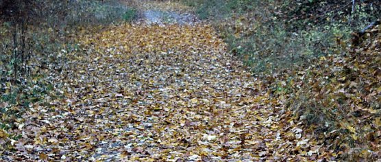 Radwanderer aufpassen! (Foto: Karl-Heinz Herrmann) Radwanderer aufpassen! (Foto: Karl-Heinz Herrmann)