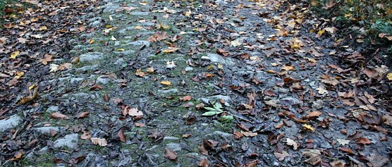 Radwanderer aufpassen! (Foto: Karl-Heinz Herrmann) Radwanderer aufpassen! (Foto: Karl-Heinz Herrmann)