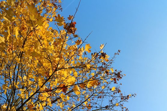 Wetterbild (Foto: Angelo Glashagel)