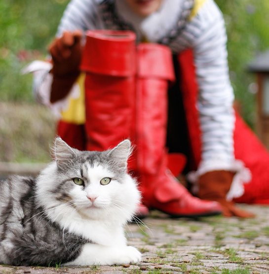 Der gestiefelte Kater soll in Nordhausen und Sondershausen den Kindern die Vorweihnachtszeit vers&uuml;&szlig;en (Foto: Lisa Stern)