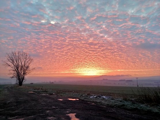 Sonnenaufgang im Landkreis Nordhausen (Foto: Gernot Thelemann)
