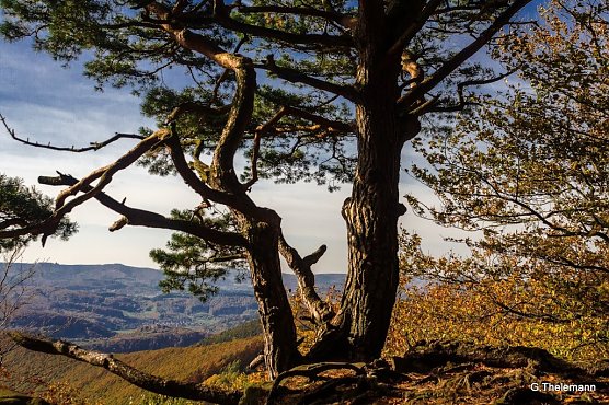 Wetter-Bild (Foto: Gernot Thelemann)