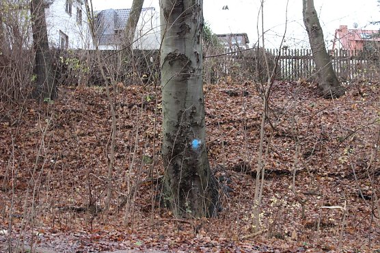 Verkehrssicherungspflicht mit Augenma&szlig;? (Foto: Karl-Heinz Herrmann)