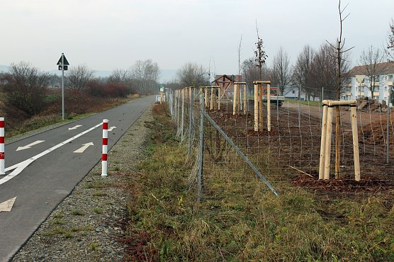 Ausgleichsmaßnahmen werden sichtbar (Foto: Karl-Heinz Herrmann) Ausgleichsmaßnahmen werden sichtbar (Foto: Karl-Heinz Herrmann)