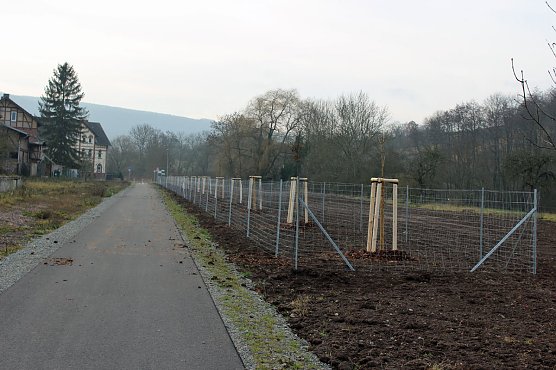 Ausgleichsmaßnahmen werden sichtbar (Foto: Karl-Heinz Herrmann) Ausgleichsmaßnahmen werden sichtbar (Foto: Karl-Heinz Herrmann)
