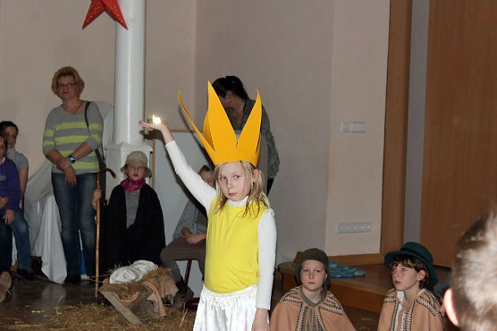 Der Weihnachtsstern (Foto: Karl-Heinz Herrmann) Der Weihnachtsstern (Foto: Karl-Heinz Herrmann)