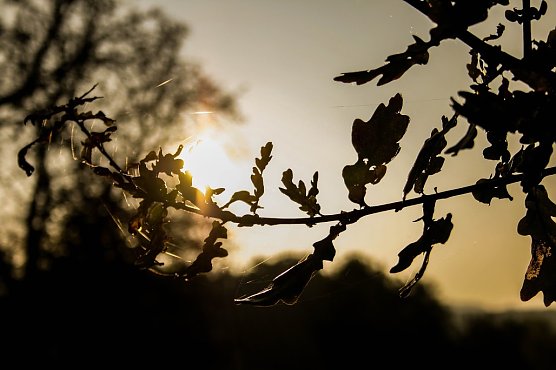 Wetter-Bild (Foto: Gernot Thelemann)