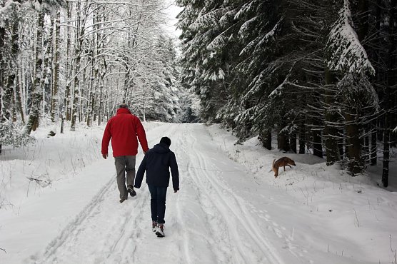 Spaziergang im Wald (Foto: PEFC Deutschland)