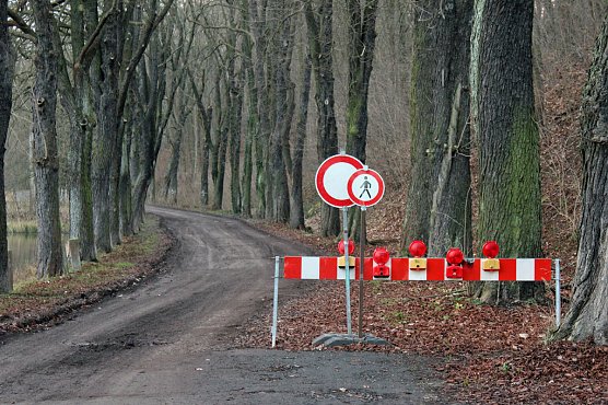 Kahlschlag um und hinterm Hammateich? (Foto: Karl-Heinz Herrmann) Kahlschlag um und hinterm Hammateich? (Foto: Karl-Heinz Herrmann)