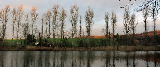 Kahlschlag um und hinterm Hammateich? (Foto: Karl-Heinz Herrmann) Kahlschlag um und hinterm Hammateich? (Foto: Karl-Heinz Herrmann)