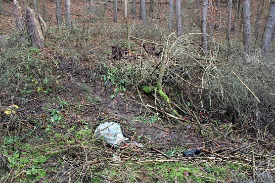 Nicht nur grüne Oasen (Foto: Privat) Nicht nur grüne Oasen (Foto: Privat)