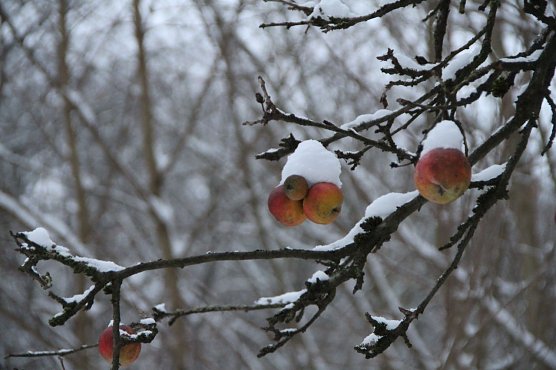 Wetterbild (Foto: Angelo Glashagel) Wetterbild (Foto: Angelo Glashagel)